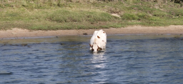 Was bietet da die Unterwasserwelt?