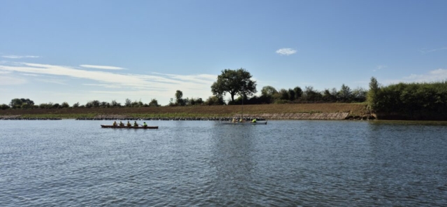 Rudern - In den Niederlanden ein Volkssport