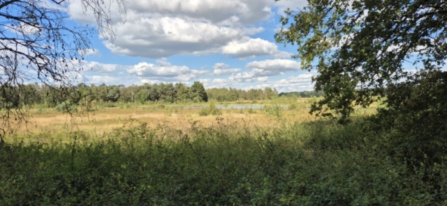 Hier hat ein Yachtbesitzer eine originelle Gallionsfigur gefunden (oder sie ihn)