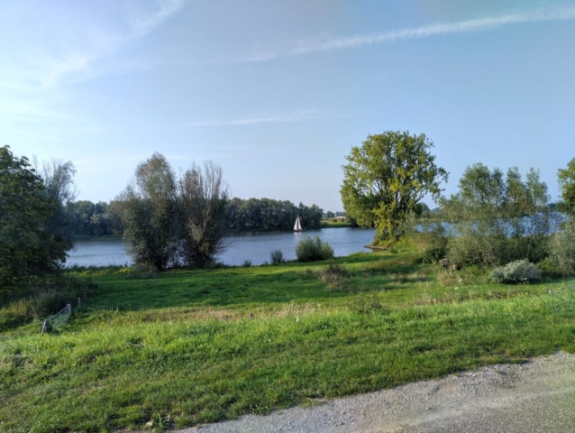 Auf der Maas wird oft gesegelt